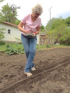 Susan planting Arikara beans on the "back 40."