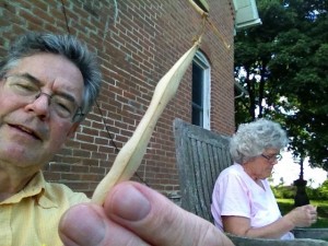 Tom and Susan shelling Arikara Beans.