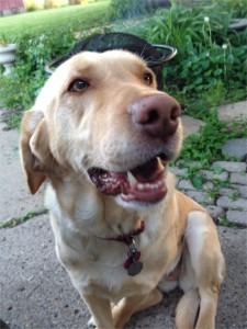 Ella