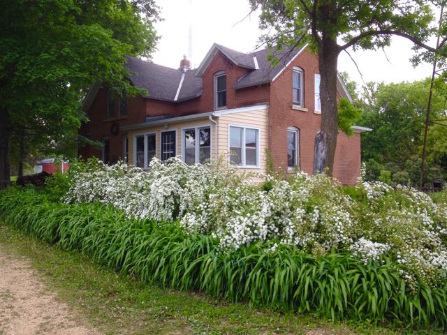 The orchestra plays on 3.3.