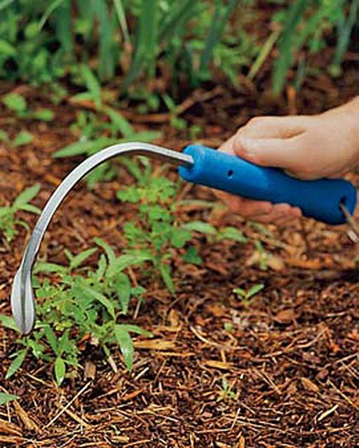 get weeds out