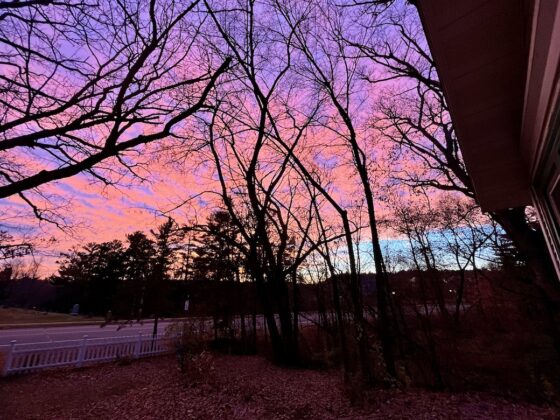 What is Heaven Like?