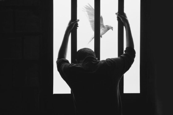Getting Free of Condemnation!